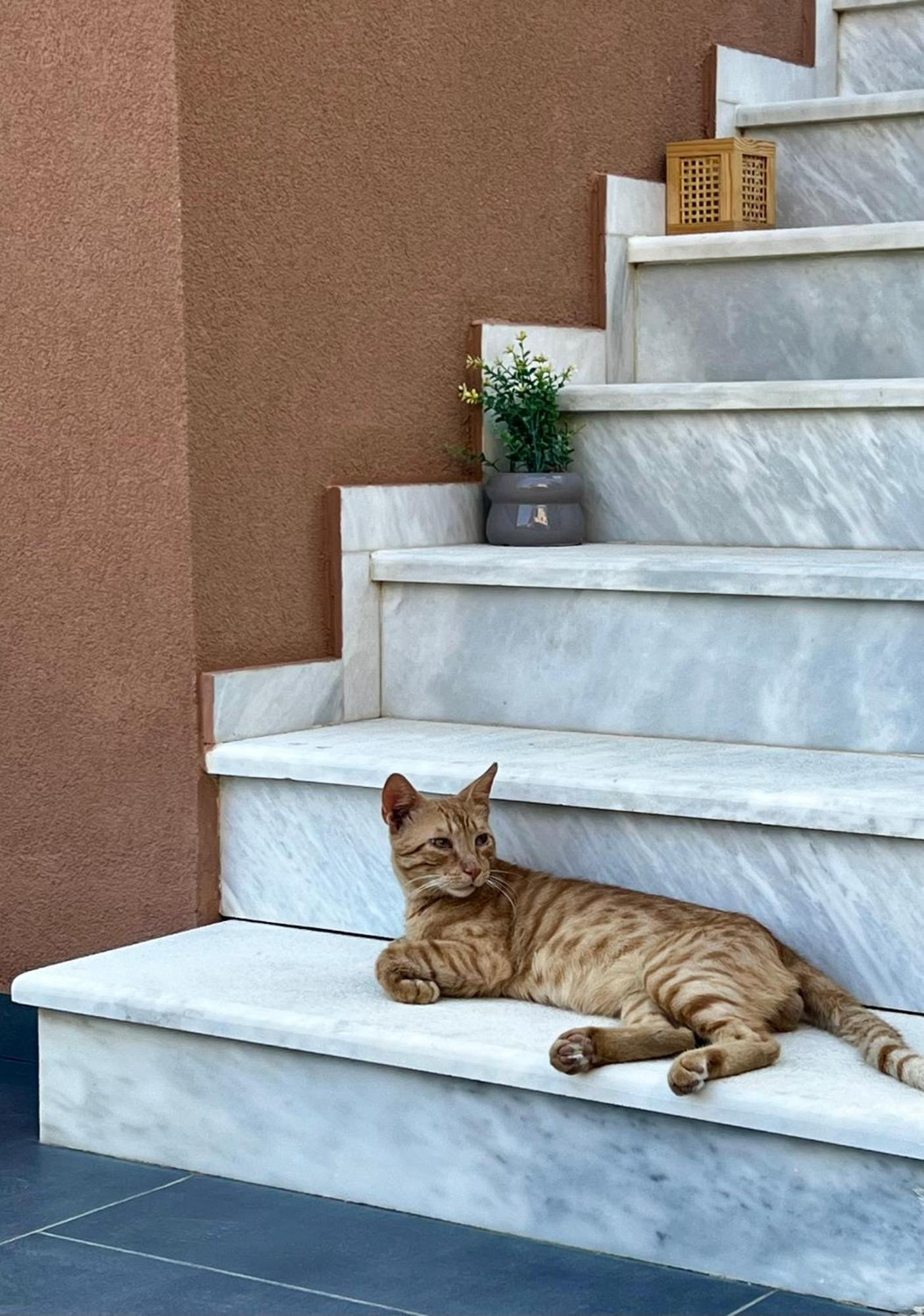 Athilia Apart otel Nikiana Dış mekan fotoğraf